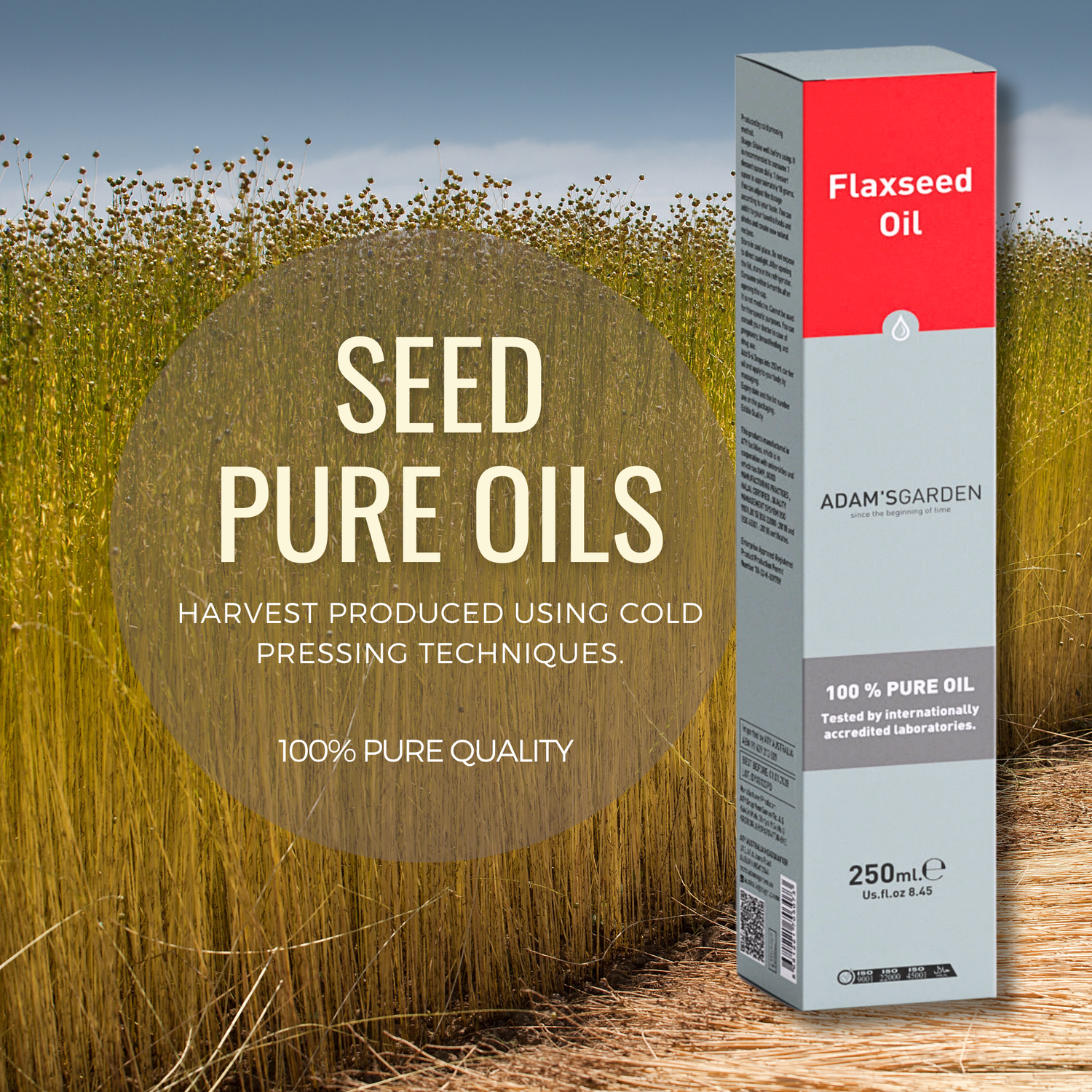 Seed Oils