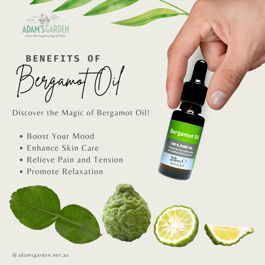 Pure Bergamot Oil 20ml