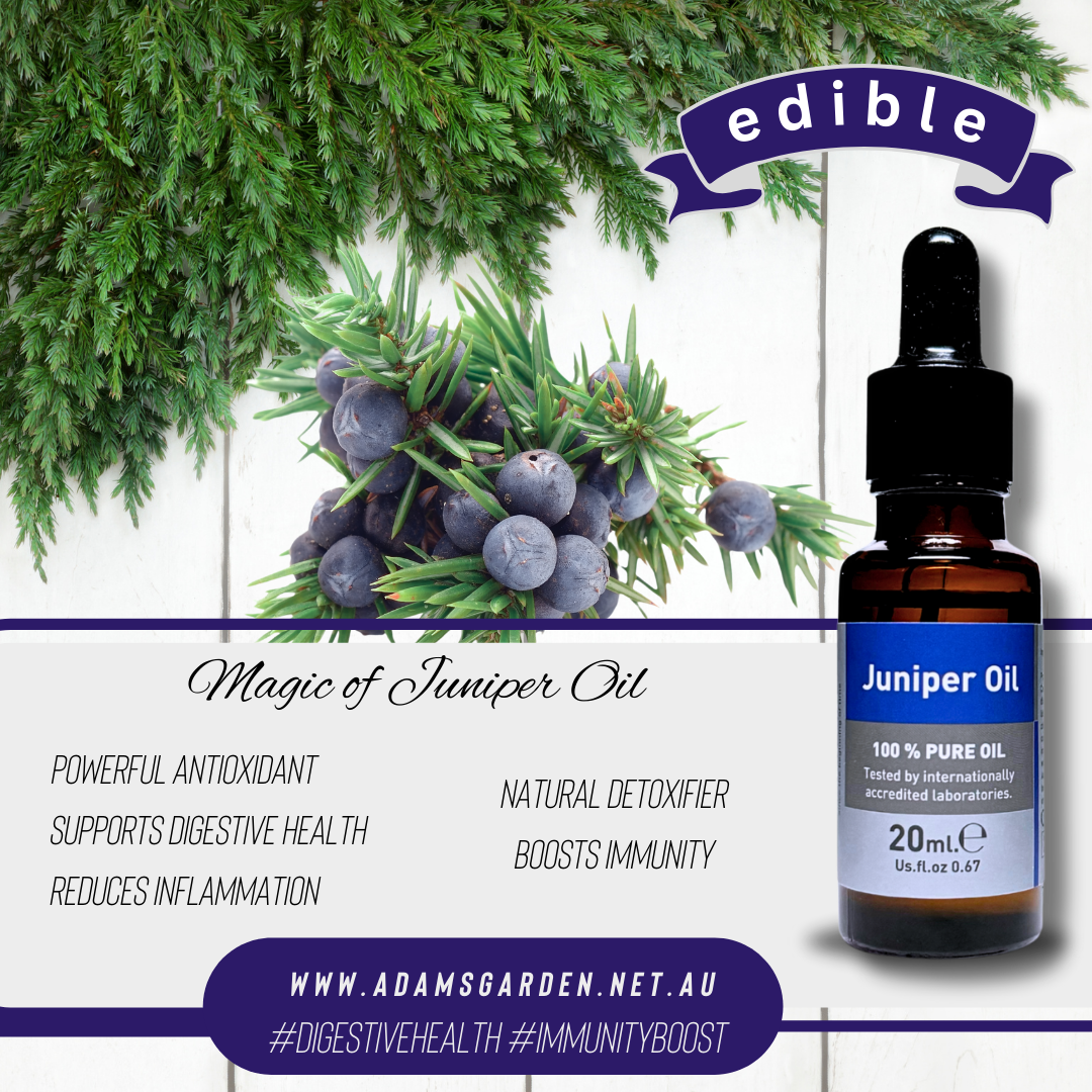 Pure Juniper Oil 20ml