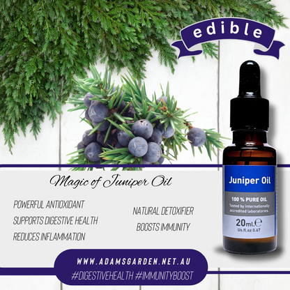 Pure Juniper Oil 20ml